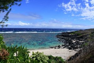 Plage ou lagon de La Réunion, spot idéal pour les vacanciers nature