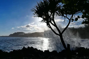 Coucher de soleil sur la côte sud de La Réunion, filaos en contre-jour et vague s’écrasant sur les rochers à Vincendo